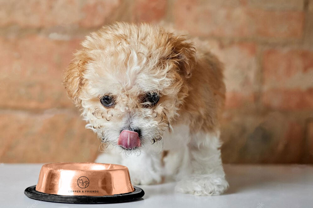 Are Copper Bowls Safe?
